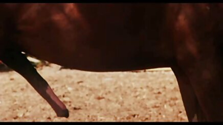 Cô gái tóc vàng, công sexnhat 18 ass với một dương vật lớn